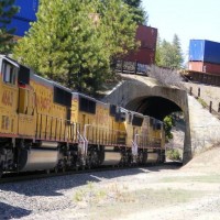 Williams Loop