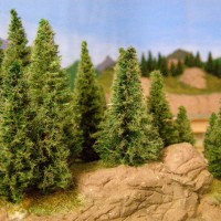 Pine trees