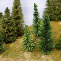 Pine trees