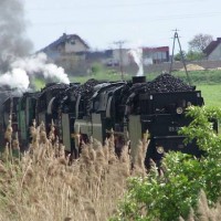 Steam Locomotives' Parade, Wolsztyn, Poland, 2008