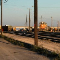 San Antonio East Yard Throat - West End