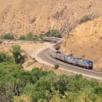 Coast Starlight #11