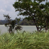 The Panama Canal Train