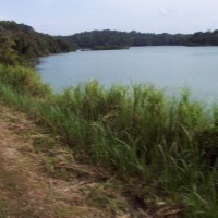 Panama Canal Train