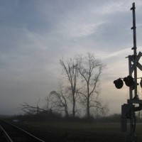 Foggy Morning