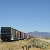 Stored Box Cars