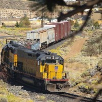 Reno Local