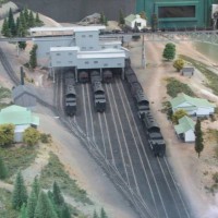 Blue Heron diorama