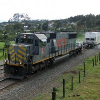 Spraying for weeds