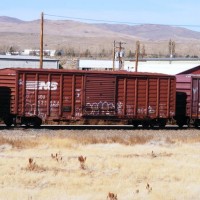 Waffle side box car