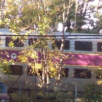 Trains_Through_the_Treens_Between_the_Houses_1_640x489