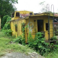 Caboose graveyard - 5