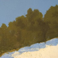 backdrop closeup