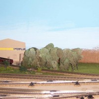 E Peo Yard Backdrop trees by Cat