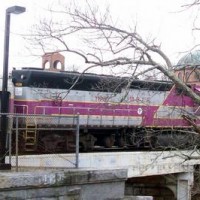 Trains_Through_the_Trees_Rossi_12_19_08_cropped_3_