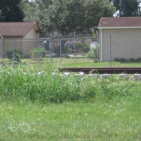 New Railroad