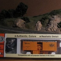 IMG_3753