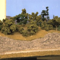 Trees_001