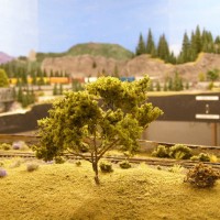 Trees_0031