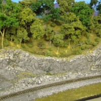 Trees_details_2