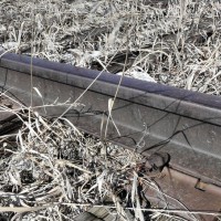 track_in_Falls_Yard