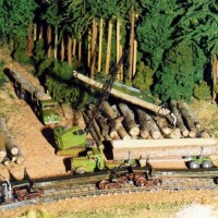 East Texas logging reload