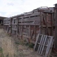 Old Cattle Car