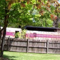 MBTA_GP_40X_Through_Trees_Over_Fence