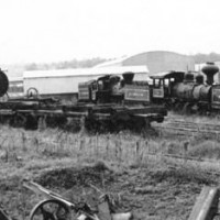 Logging locos, East Texas