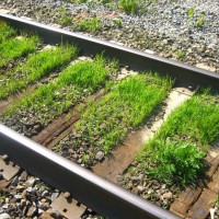 Canadian National green track - close up