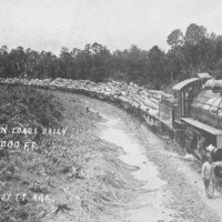 CLC 12 w/train