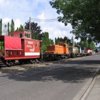 The line up