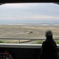 Oregon Coast RR excursion