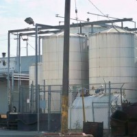 Stacy Yard