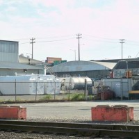 Stacy Yard