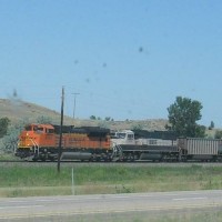 BNSF Trains seen on my Training Trip