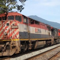 BCOL 4616