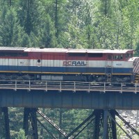 BCR_4620