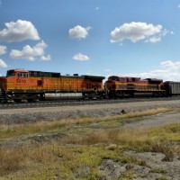 BNSF_coal_shelby