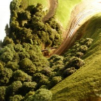 Trees8809_7_