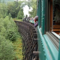 Loggers in steam