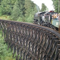 Loggers in steam
