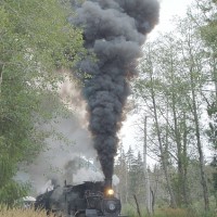 Loggers in steam