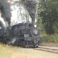 Loggers in steam