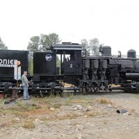 Loggers in steam