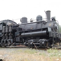 Loggers in steam