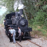 Loggers in steam