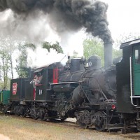Loggers in steam