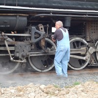Loggers in steam