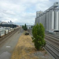 Interbay Grain Elevator